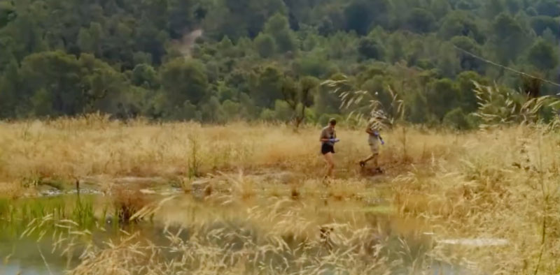 Helping the habitat of the Spadefoot Toad in Spain